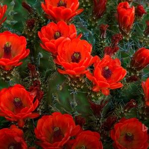 Meet your Posher, Stephany